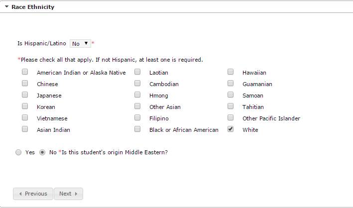 Sample screen of Race Ethnicity in the Student section in Online Registration